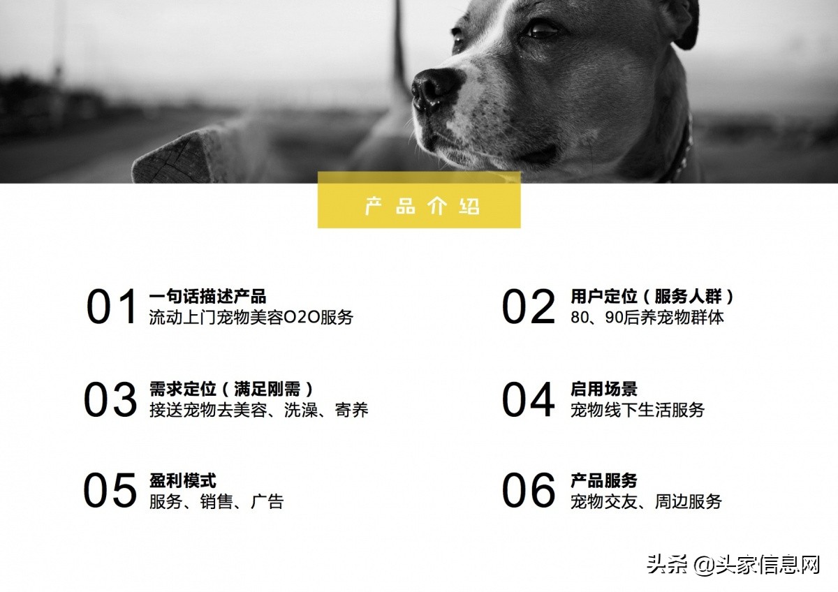 萌宠行业商业计划书,宠物app创业计划书模板