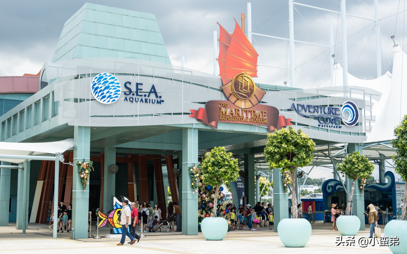 5年之许,小白逆袭重返新加坡