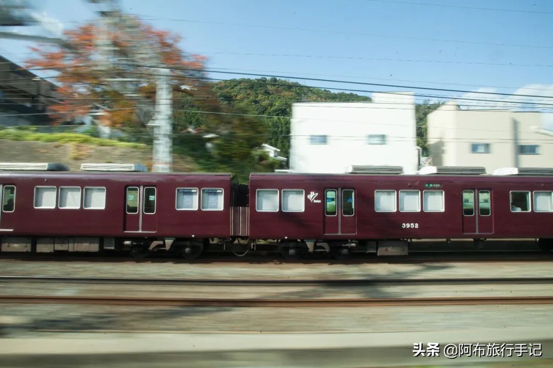日本熊野古道拍摄,摄影师镜头下的景区