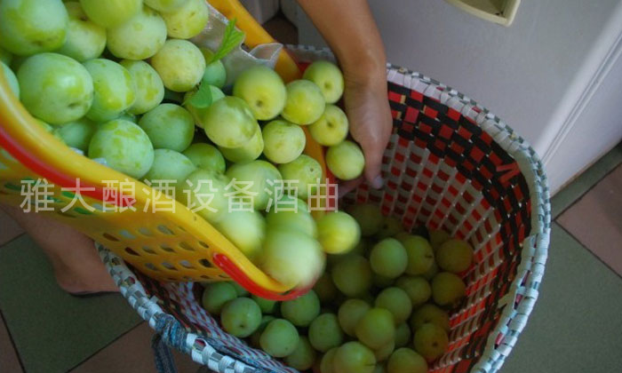 自制果酒酿酒设备,果酒泡制流程和设备