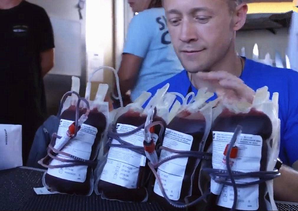 鲨鱼的视觉嗅觉听觉哪个强,鲨鱼有什么特殊的本领