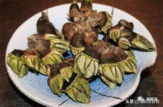 好吃不贵的海鲜种类有哪些,最好吃又最常见海鲜有几种