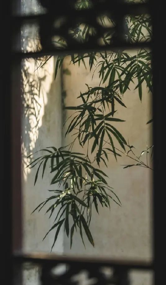 何不归去做个闲人,闲来无事做个闲人