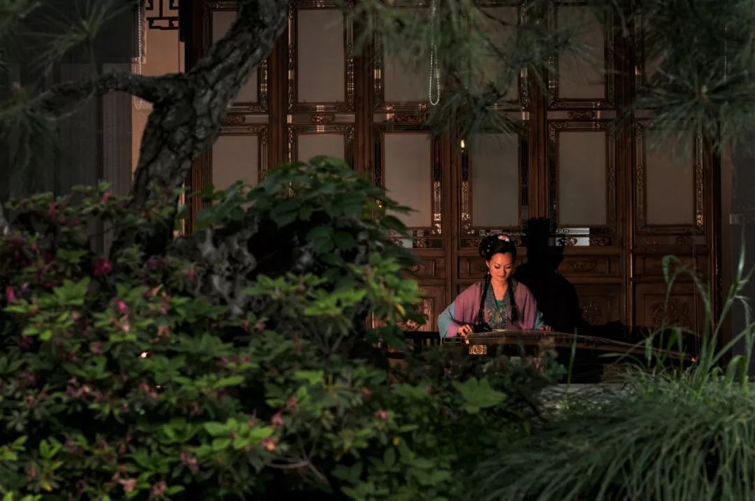 苏州和上海哪个值得去旅游,苏州这座清丽婉约的小城