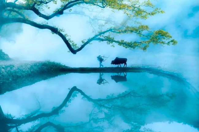 李白的一首诗最简单的,李白最愁苦的一句诗