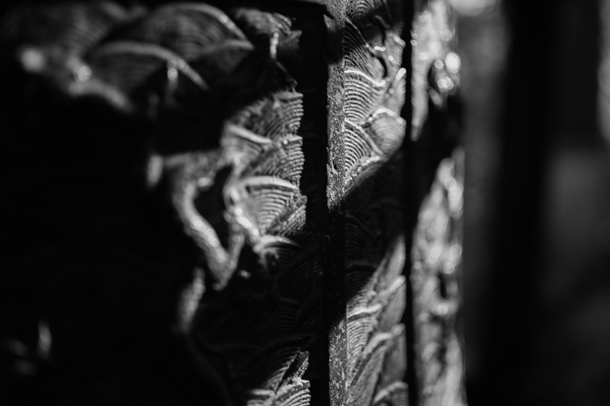 尼康z70-200怎么扫街,尼康z卡口扫街和风光镜头推荐