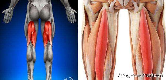 盘坐后腿疼,盘膝坐后直立起来腿痛