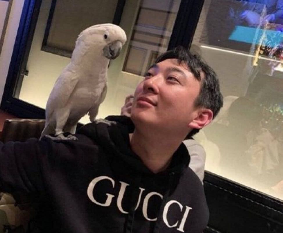 “国民老公”王思聪：一个被网红后宫团，毁了恋爱观的纯情少年