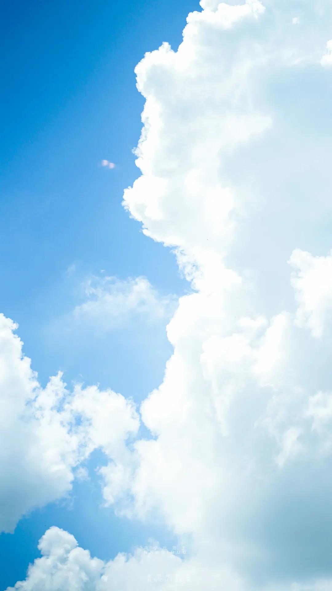 南湖名都48楼早茶预约,南湖名都48楼早茶抖音团购