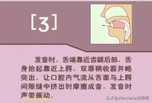 英语48个音标发音附详细图解,音标发音48个正确发音讲解视频