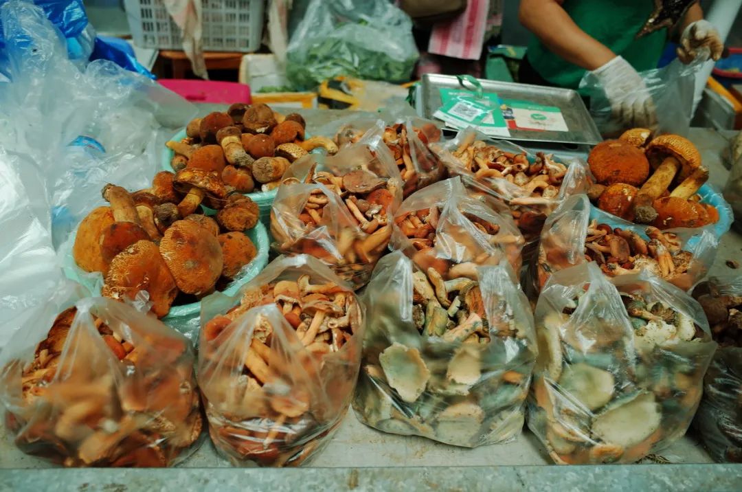 最新十大野生菌,野生菌陆续上市质优价稳