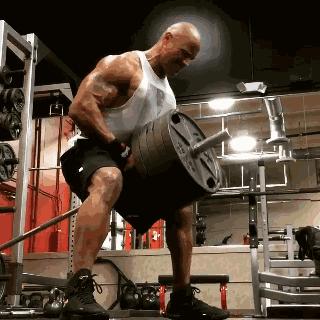 巨石强森的幸福生活,巨石强森2019婚姻