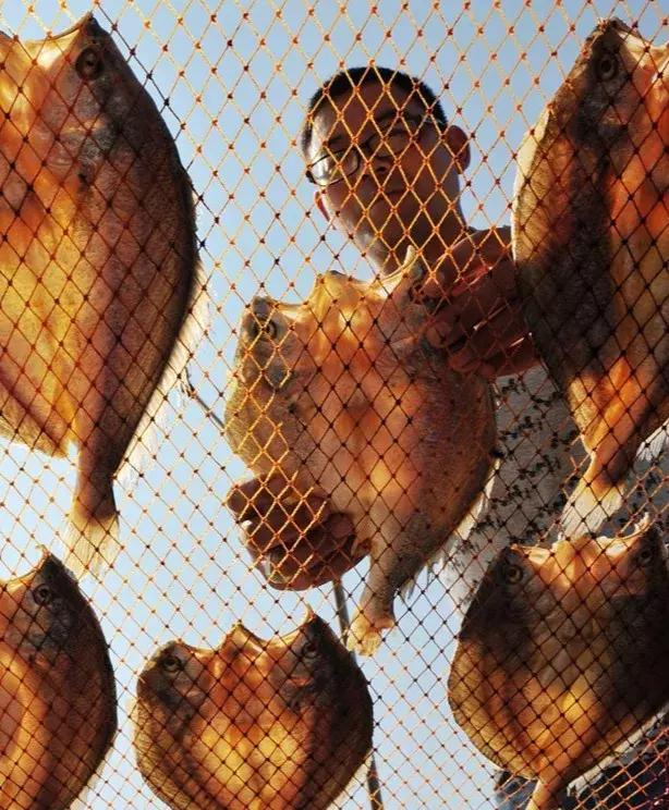 浙江宁波小众景点,浙江省宁波市黄金海岸