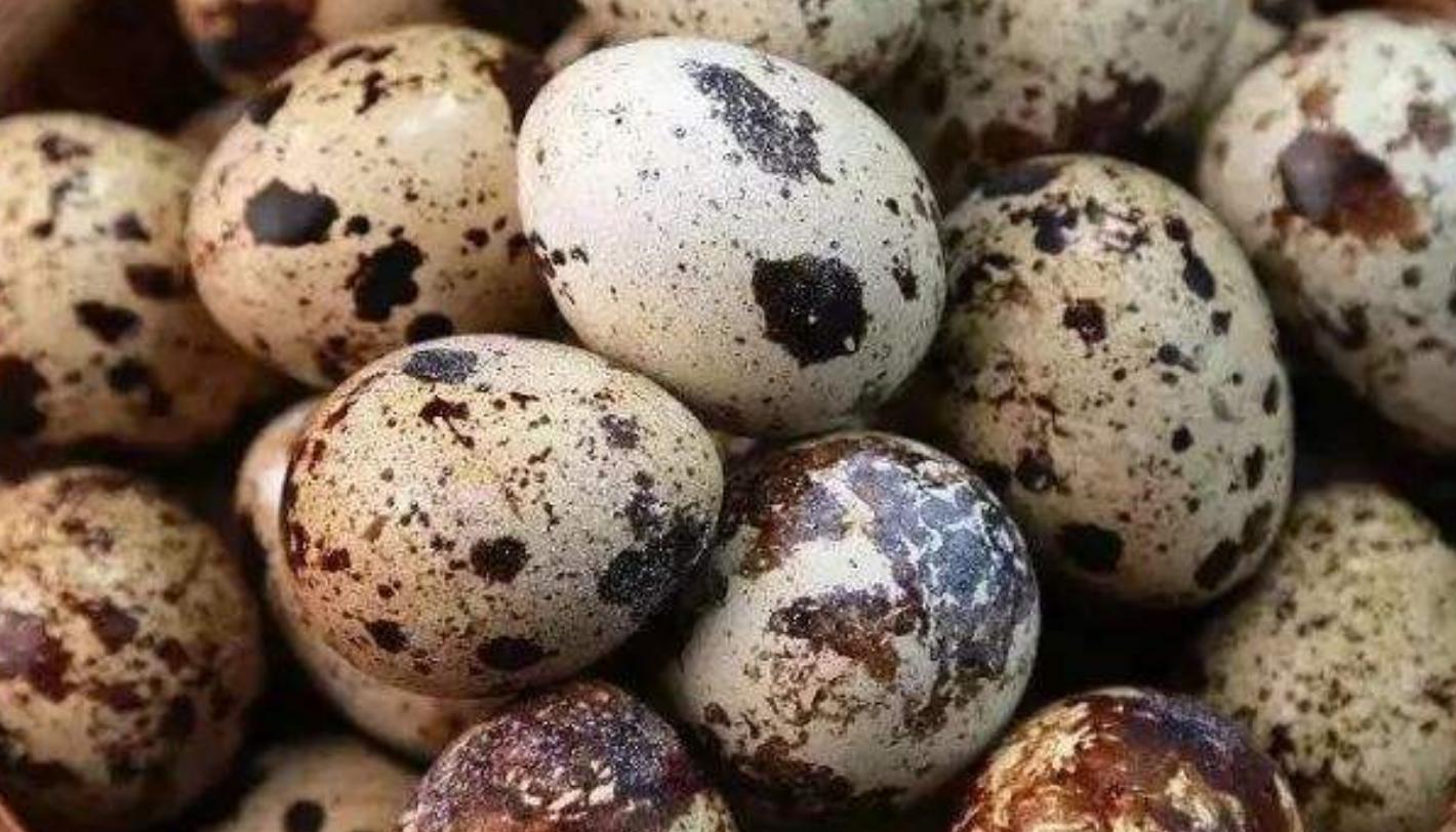 鹌鹑蛋5种最好吃的做法,鹌鹑蛋炖五花肉的家常做法很下饭