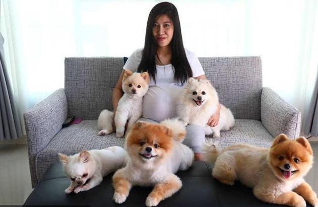 什么狗狗的寿命最长最好养,狗狗的寿命最长能活多少年