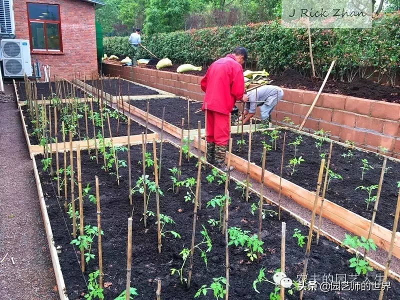 城市蔬菜园景观设计,蔬菜花园造型
