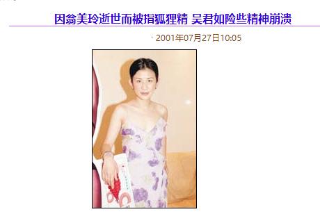 吴君如吴启华 (吴君如谈吴启华)