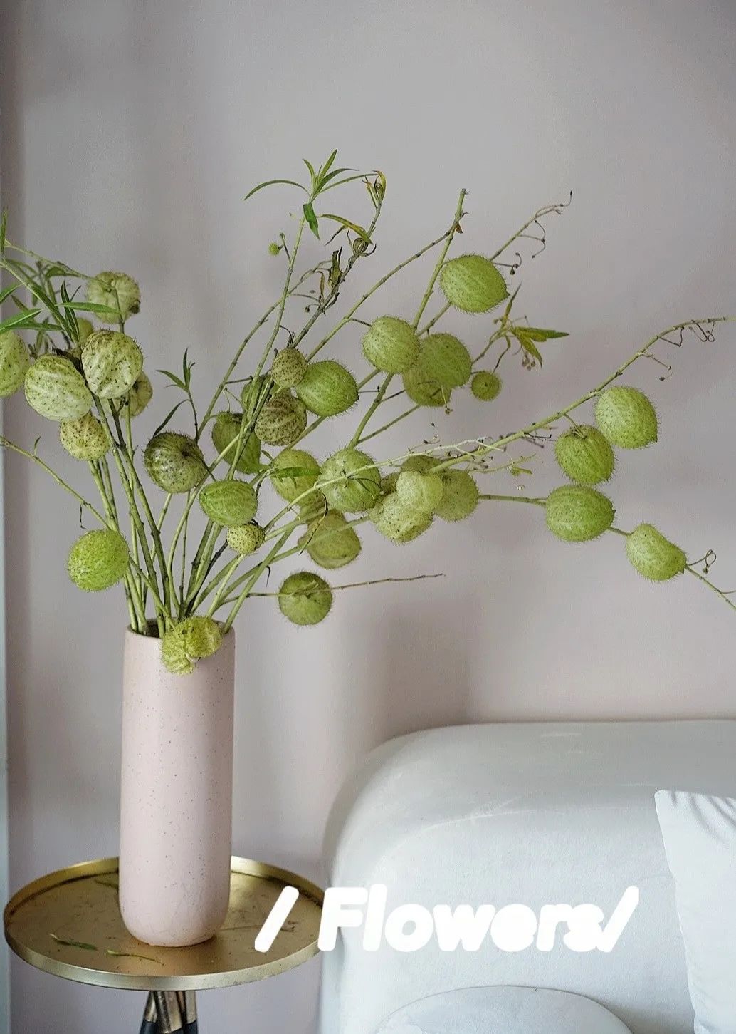 家里要有氛围感什么花比较好,家里高级的花