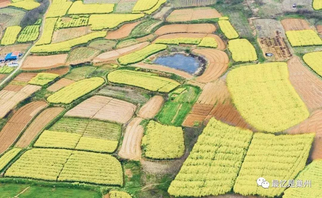 巢湖柘皋往事,巢湖柘皋古镇早期照片