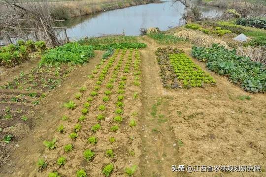 家庭农场可以办无息贷款吗,家庭农场农业贷款怎么申请
