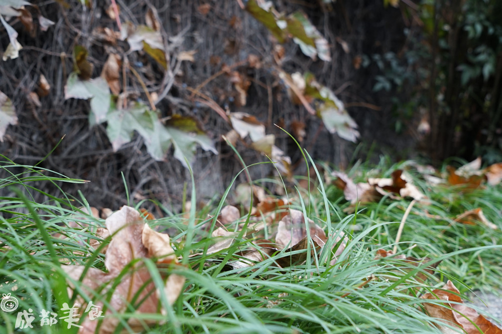 被学生吐槽最多的中医大老校区,没想到还是个“宝藏地”