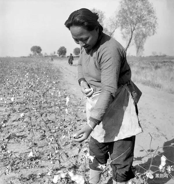 1934年的南京城,1944年南京视频