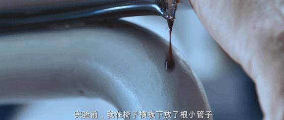 苗侨伟芒果台,4天2000万播放量