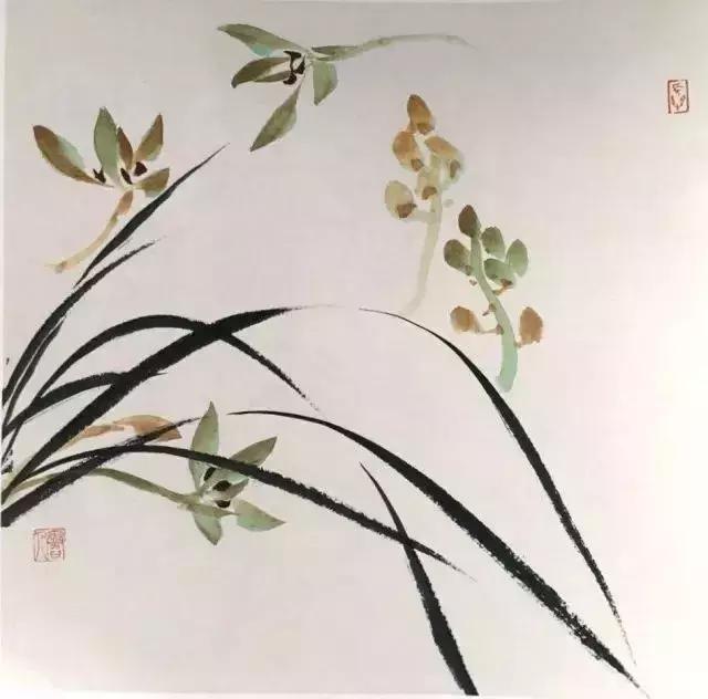 如何画兰花最好看的,君子兰花如何画