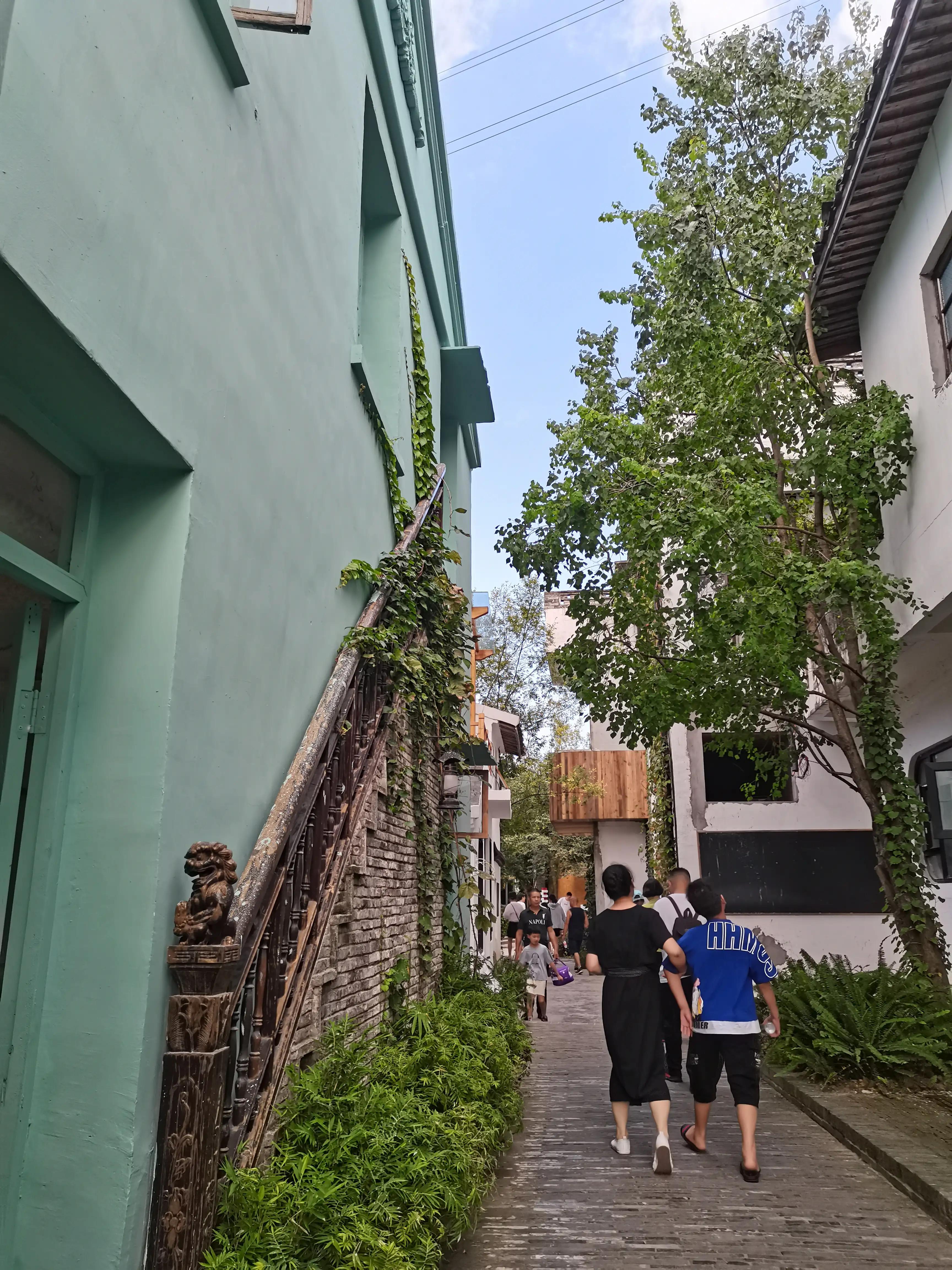 温州茶山风景区游玩攻略图,温州瓯海山根小村景区