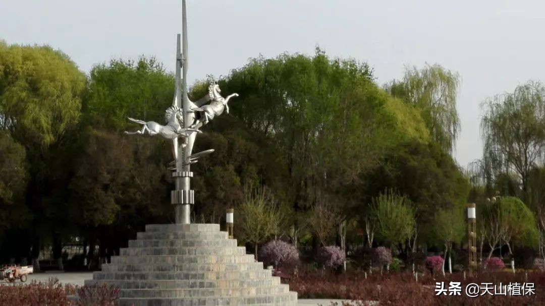 新疆人朴实热情,扎根新疆60年的屯垦戍边人