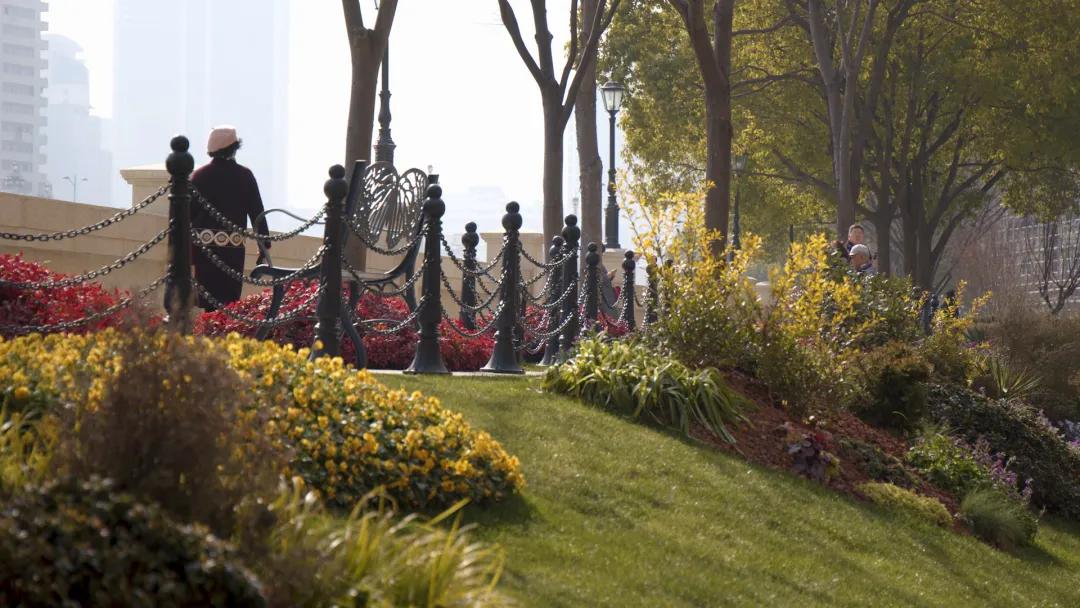 苏州河上海城市会客厅,苏河融景新楼盘