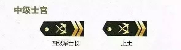 现役士官可以享受的地方福利待遇,军人士官退伍福利待遇最新政策