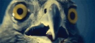 食物届隐藏魔术师！骗你没商量