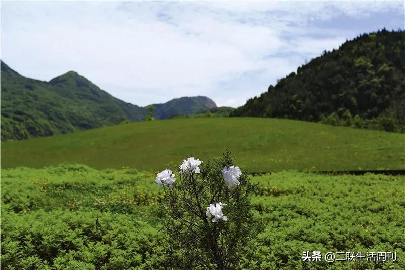 北川中学原来的样子对比,14年后的北川中学
