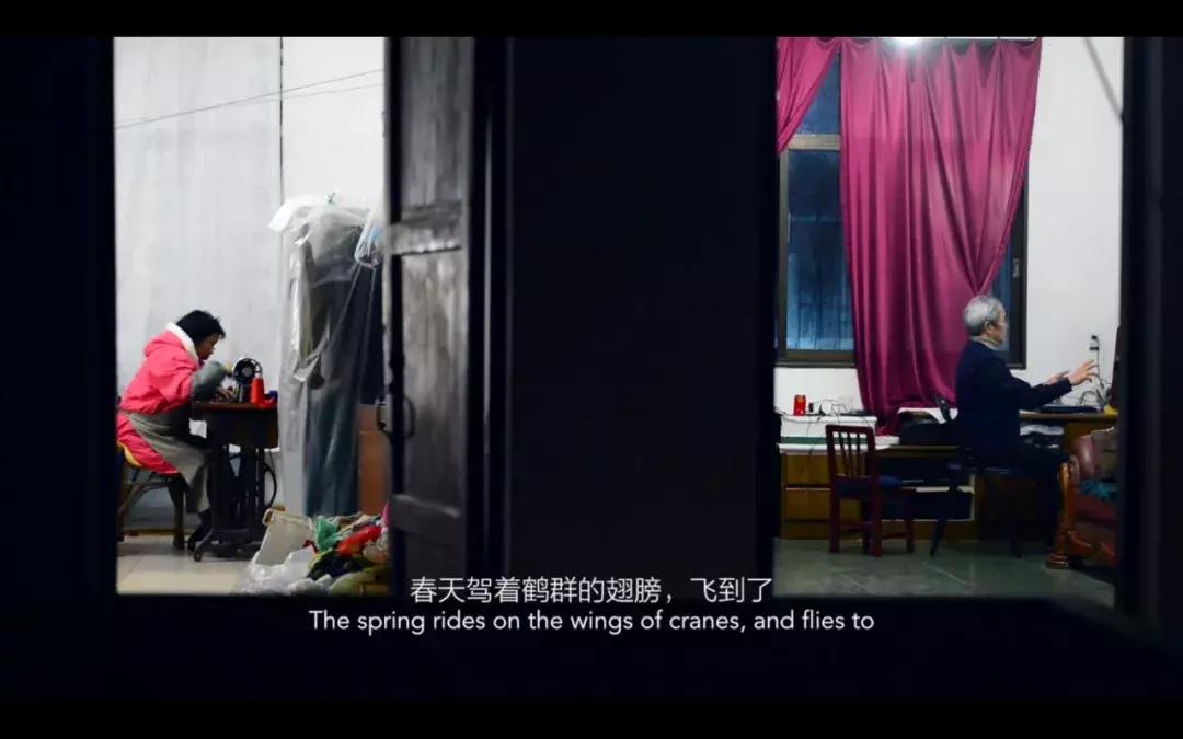 大象席地而坐入选金马奖视频,大象席地而坐金马奖领奖感言