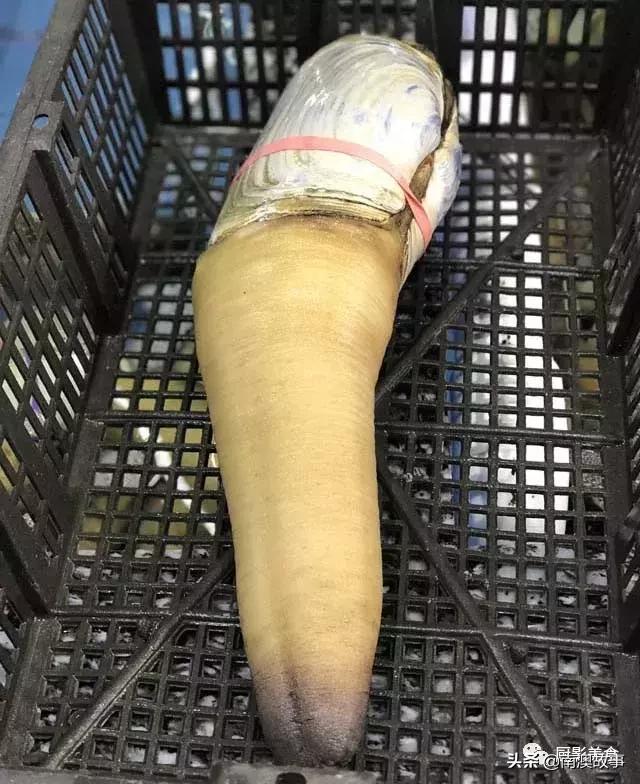 水煮贝壳类海鲜煮多久,海边海鲜用什么水煮好吃