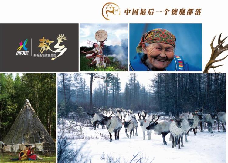 呼伦贝尔旅业旅游集团公司,呼伦贝尔旅业集团是国企吗