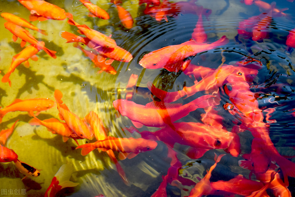 小孩发不来gk音怎么教,孩子不会发gkh的音