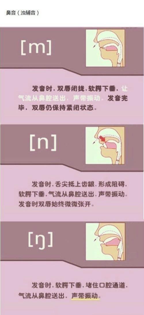 英语音标n的发音,英语音标发音图解读