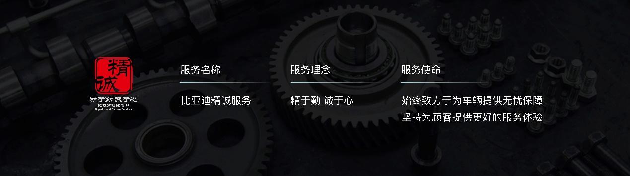 比亚迪家轿冠军,紧凑级新能源车销量冠军