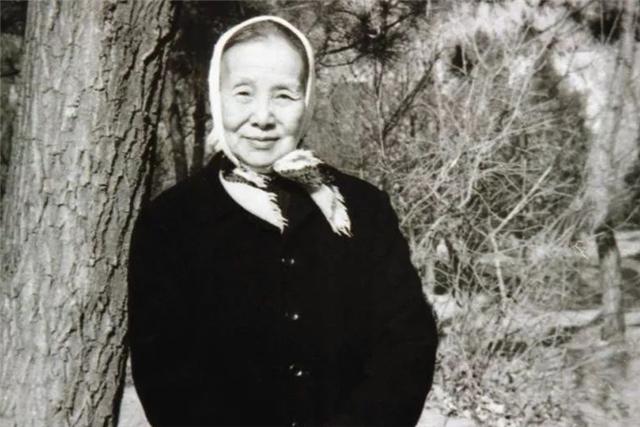 林徽因冰心三观,林徽因张爱玲冰心谁的成就更高