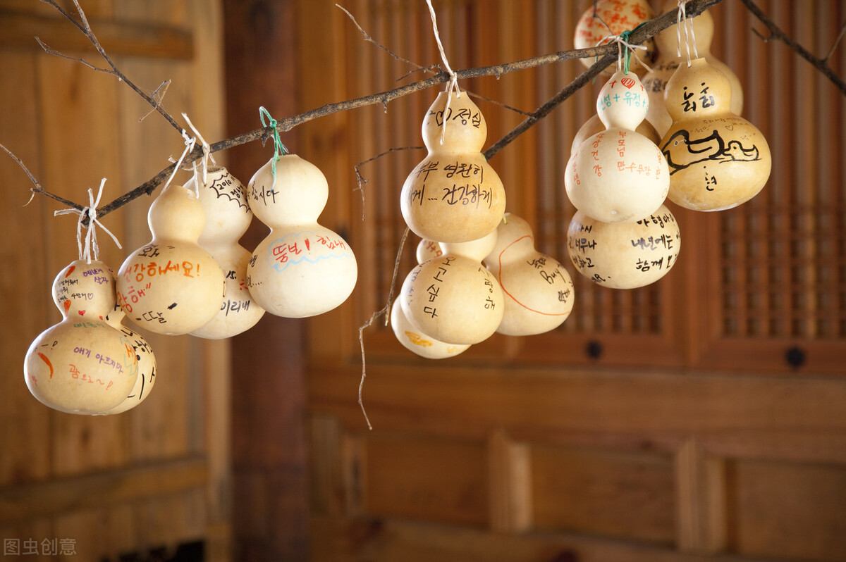 冲一句老话,我在院子里种了棵葫芦,等待结出“葫芦娃”