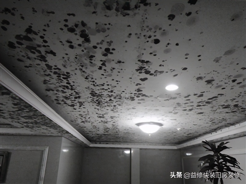吊顶发霉的解决办法,吊顶发霉了有没有办法根治呢