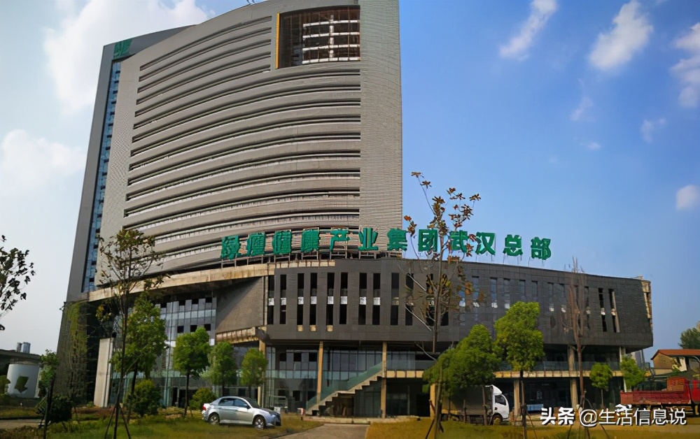 绿瘦公司上班亲身经历,绿瘦公司上班亲身经历是什么样的