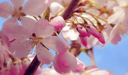 婴儿针修复敏感肌,婴儿针修复敏感肌效果