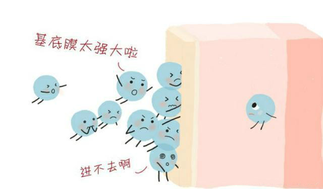 欧阳娜娜和周冬雨是什么关系,28岁的周冬雨图片