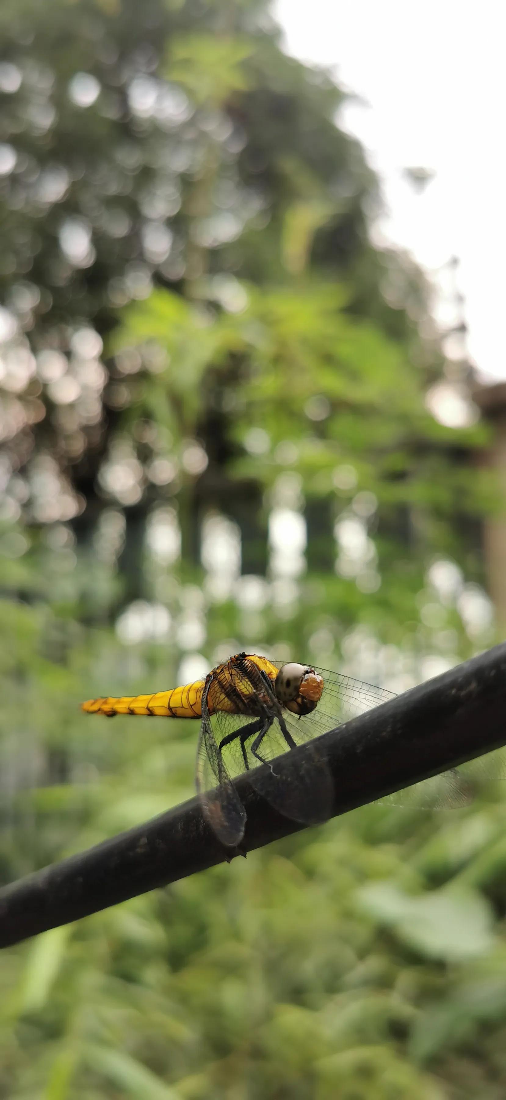 手机摄影作品集大全集,手摄世界