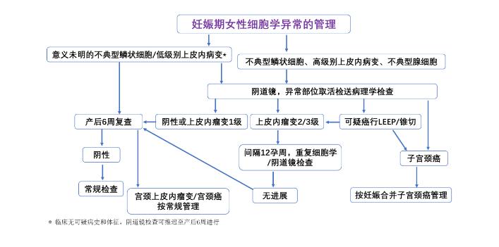 怀孕得了传染病有哪些症状,怀孕哪些事最重要