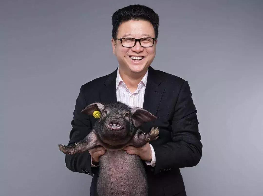 为什么大佬最后选择养猪,为什么大佬们都养猪