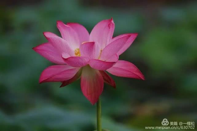 西乡周边景色美的地方,西乡哪里有夜景好看的